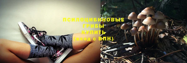 амфетамин Алексеевка