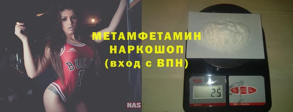 индика Каменногорск